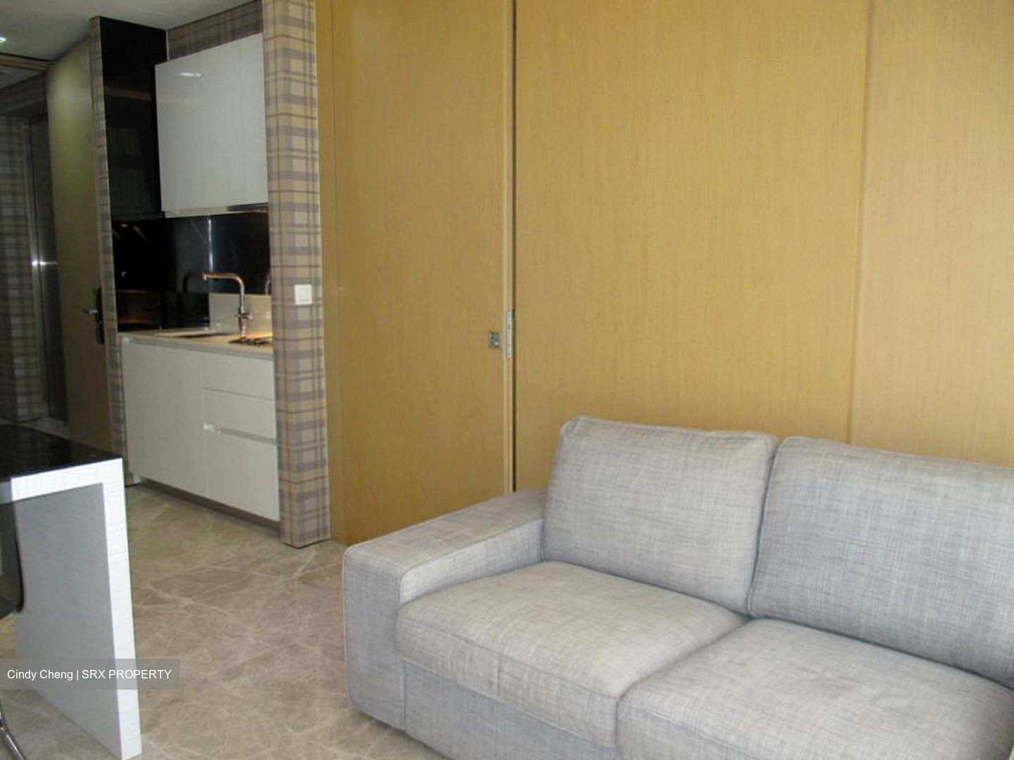 The Laurels (D9), Condominium #540197151